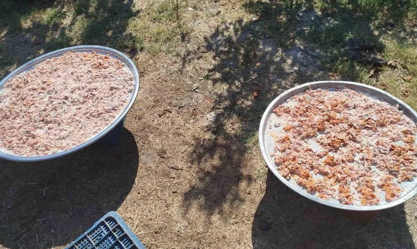 Başçayır kadınları geleneği sürdürüyor: Kışlık tarhana hazırlıkları başladı