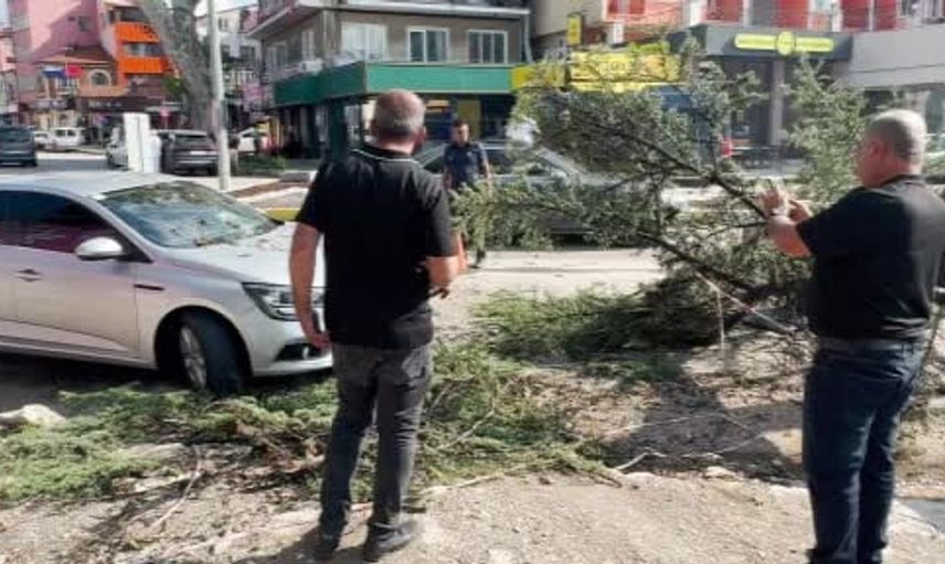 Fırtınada kökünden sökülen ağaç otomobilin üzerine devrildi