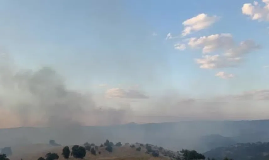 Uşak’ta makilik alanda başlayan yangın meşelik ağaçları tehdit ediyor
