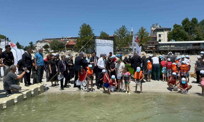 Eğirdir Gölü'ne 100 bin pullu sazan yavrusu bırakıldı