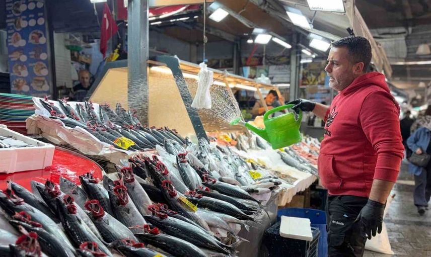 Palamut sezonu İzmir’de balık tezgahlarını süslüyor