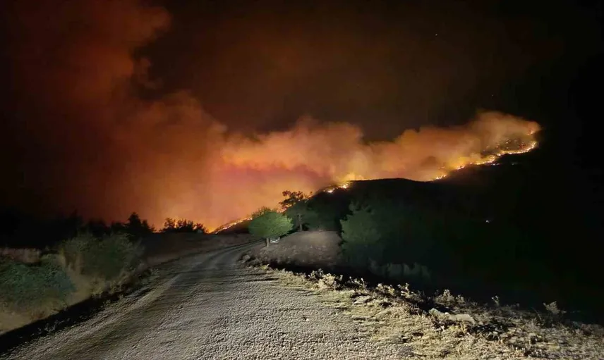 Kozan’da orman yangını şoku: Yerleşim alanları tahliye ediliyor