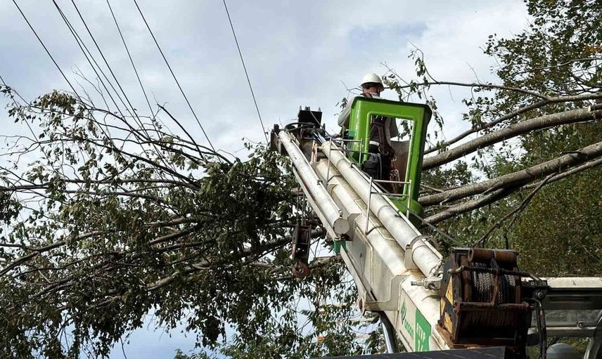 Hopa'da rüzgâr nedeniyle elektrik hatları zarar gördü