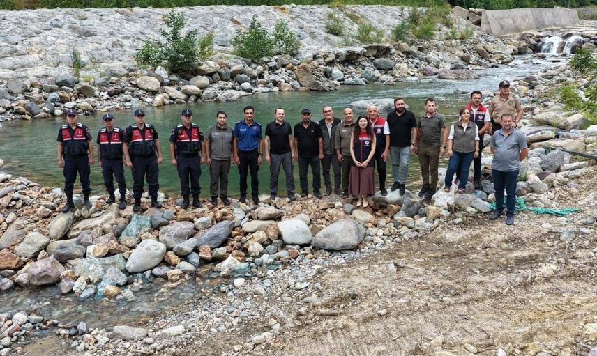 Artvin'de 30 bin kırmızı benekli alabalık yavrusu derelerle buluştu