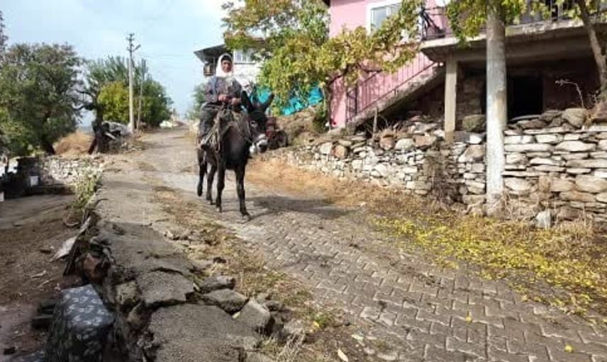 Manisa’da dağlardan çitlembik toplayan kadınlar, ek gelir elde ediyor