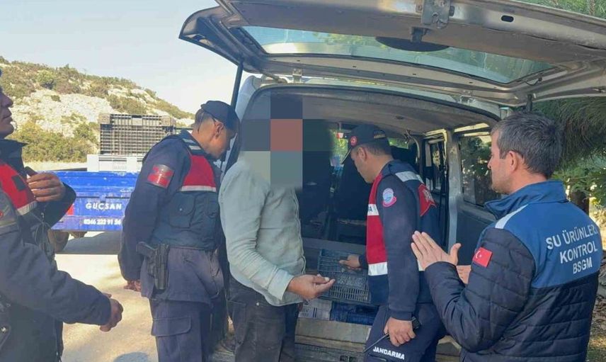 Eğirdir'de gerçekleştirilen denetimlerde gümüşi havuz balığına el konuldu