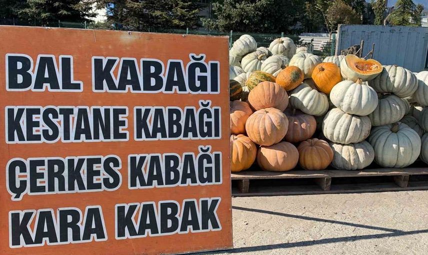 Düzce kabağının uluslararası başarısı çiftçilere umut aşılıyor