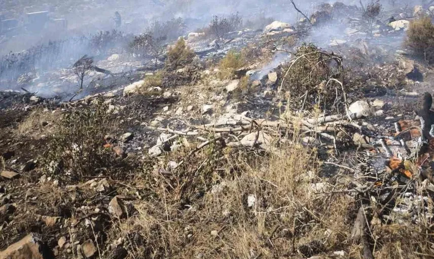 Menteşe'de yangın paniği: Ekipler olay yerine anında müdahale etti