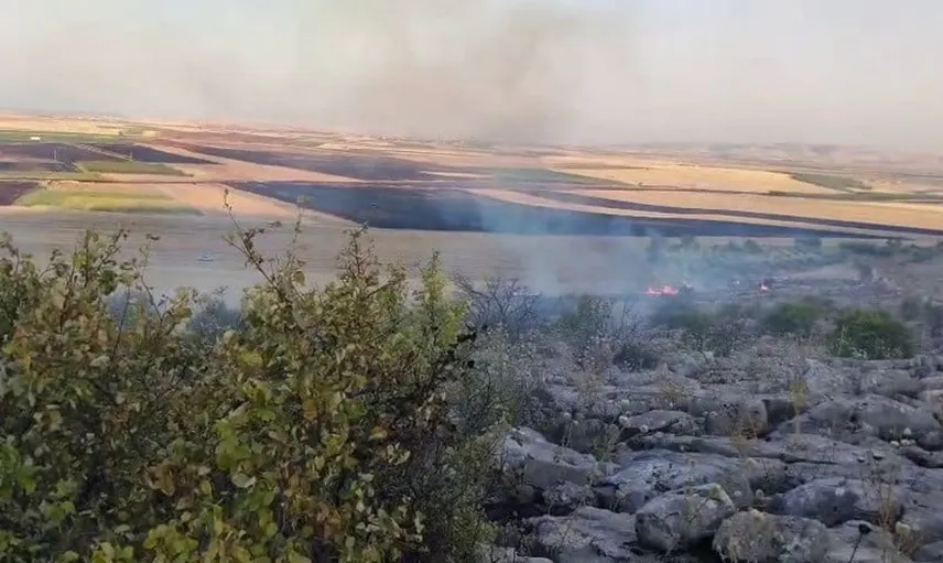 Besni'de anız yangını ormana sıçradı, ekipler zamanla koştu