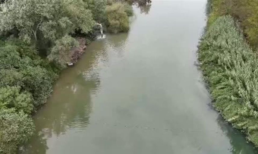 Mustafakemalpaşa Çayı'nda balık ölümleri yeniden gündemde
