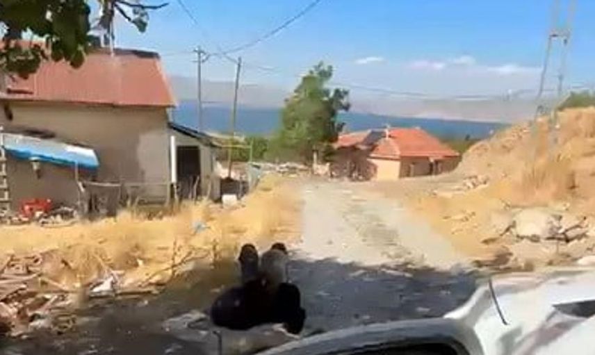 Elazığ'da zincirle ağaçta görüntülenen yaşlı adamın hikayesi