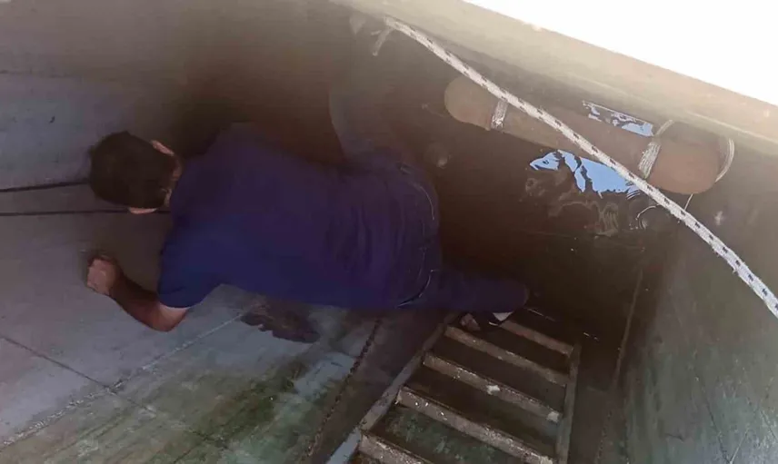 Okulda namaz kılan temizlik görevlisi, yavru kedinin hayatını kurtardı
