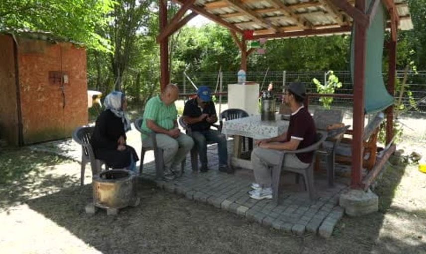 Kastamonu'da ayı paniği: Vatandaşlar konteynerde saklandı