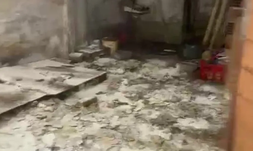 Bursa'da hayvanlar için feci şartlar: Mahalle halkı dehşet verici görüntüleri paylaştı