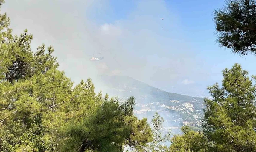 Antalya'da aynı anda iki ilçede orman yangınlarıyla mücadele sürüyor