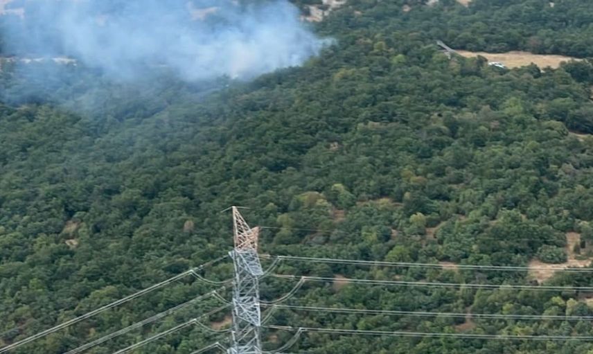 Kütahya'da erken müdahale ile orman yangını kontrol altına alındı