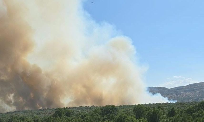 Diyarbakır'da orman yangını kontrol altına alındı