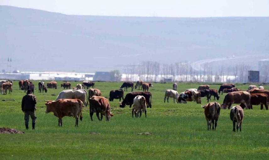 Erzurum'un tarımına büyük destek: 329 projeye 171 milyon TL hibe müjdesi