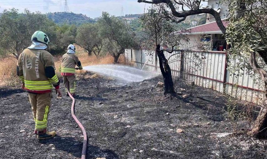 Defne'de zeytinlik alanda çıkan yangın kısa sürede kontrol altına alındı