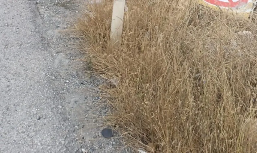 Afyonkarahisar'da refüje devrilen otomobilde iki kişi yaralandı