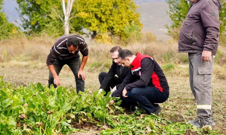Şeker pancarı hasadı için yerinde inceleme: Kaymakam Hökelekli çiftçilerle buluştu
