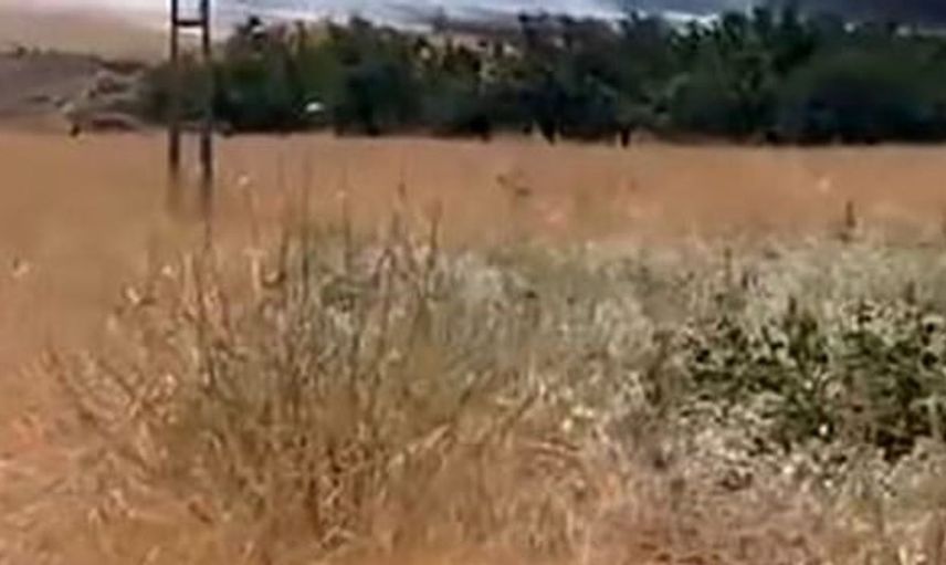 Baskil'de anız yangını köylüler arasında paniğe yol açtı