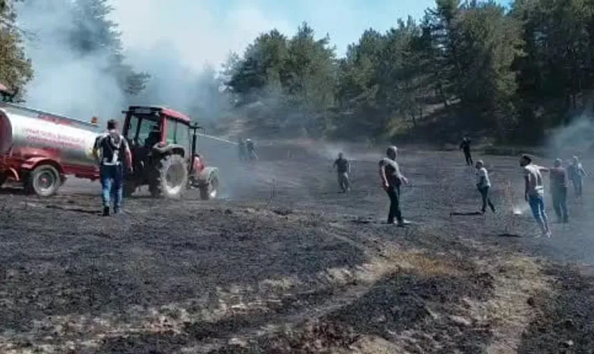 Bolu'da bahçeden ormana sıçrayan yangın kontrol altına alındı