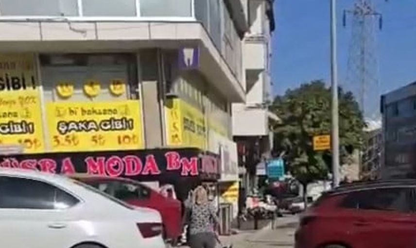 Esenyurt'ta yasaklı köpek kediyi parçaladı: vatandaşların tepkisi büyük