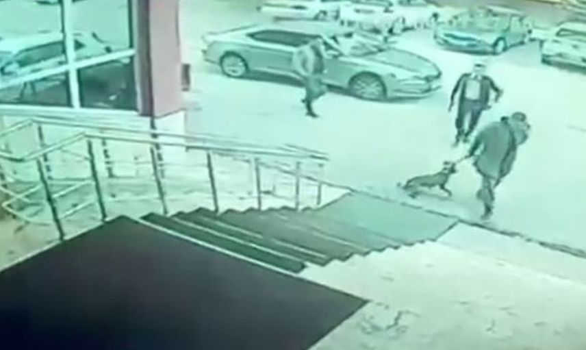 Palandöken kaymakamı ve korumasına köpeğe tekme iddiasıyla soruşturma başlatıldı