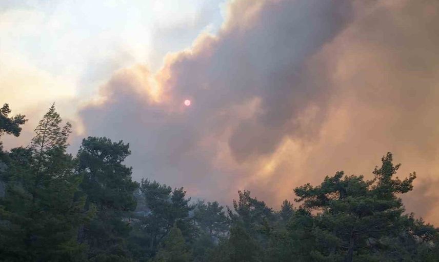 Muğla'daki orman yangınında mücadele sürüyor