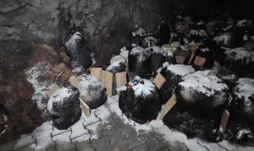 Tuluk peynirleri mağaraya dinlenmeye bırakıldı