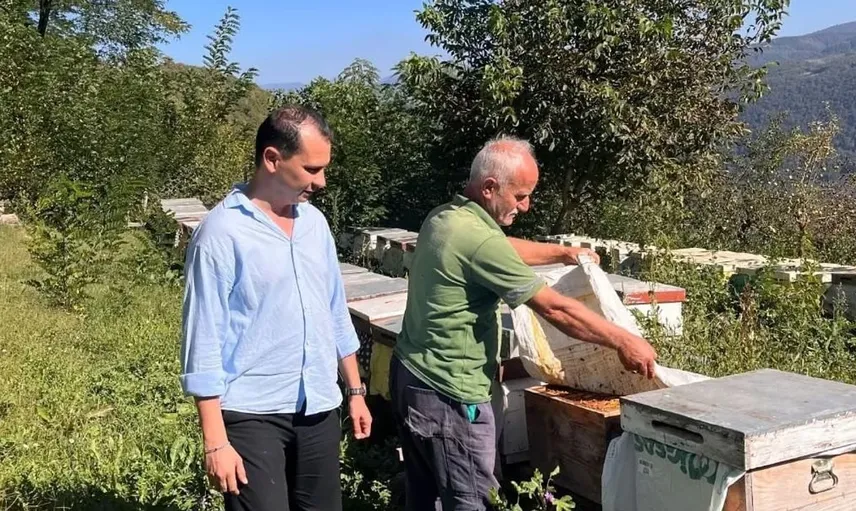 Yığılca'da arıcılık faaliyetleri için kovan tespiti yapıldı