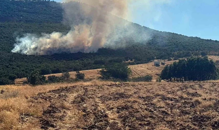 Mihalıççık’ta orman yangınına havadan ve karadan müdahale devam ediyor