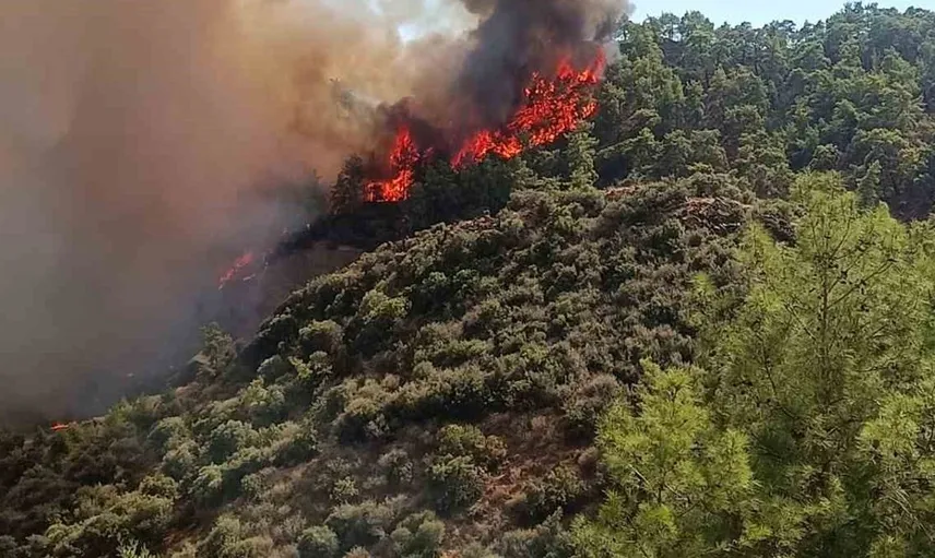 Kumluca'da ağaçlık alanda yangın kontrol altına alınmaya çalışılıyor