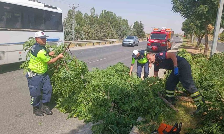 Batman-Silvan karayolunda devrilen ağaç sürücüleri tehdit etti