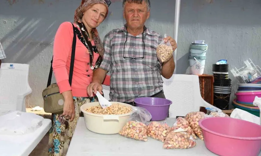 Yuntdağı fıstığı hasat şenliği coşku dolu anlara sahne oldu