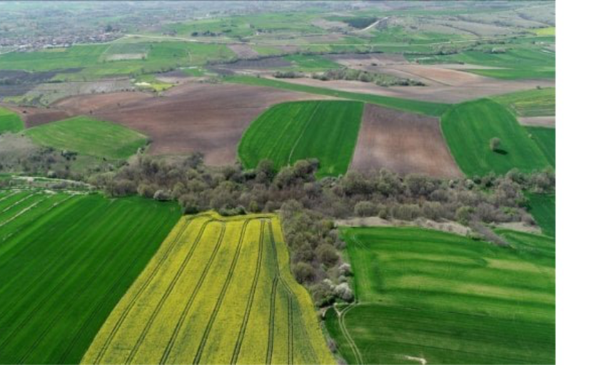 55 kelepir arsanın satışı için start verildi! Bedava arsa satılacak