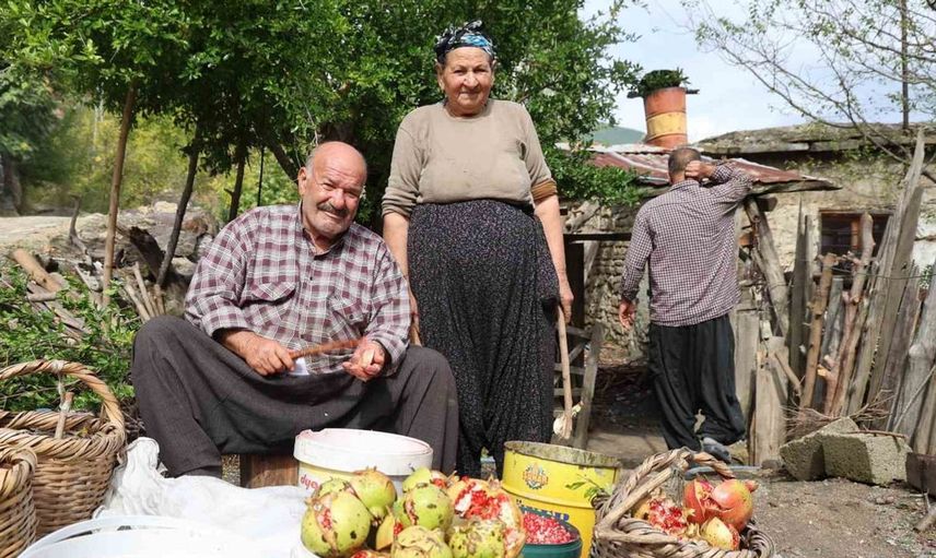 Geleneksel yöntemlerle nar ekşisi üreten 80 yaşındaki Yeter nine