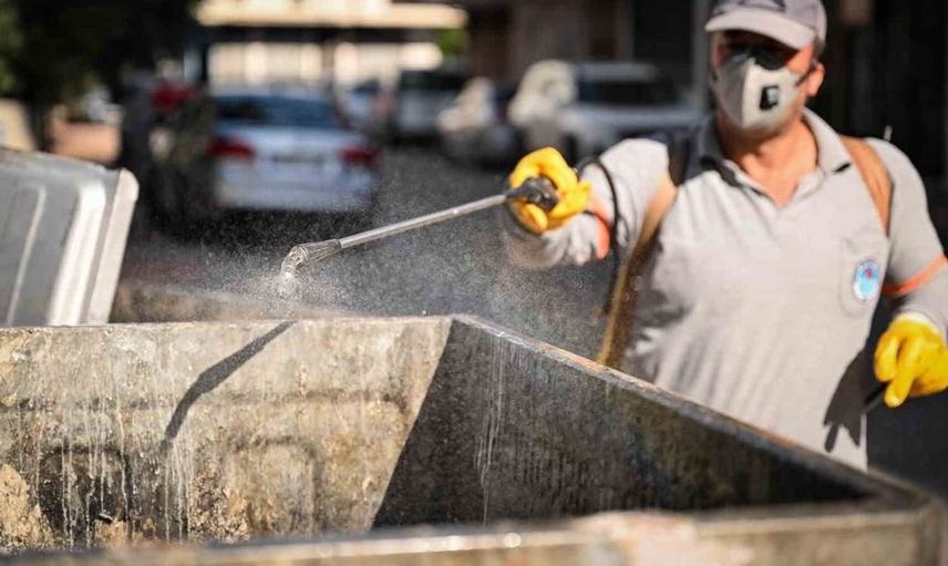 Mersin'de zararlılarla mücadele yıl boyunca aralıksız sürüyor