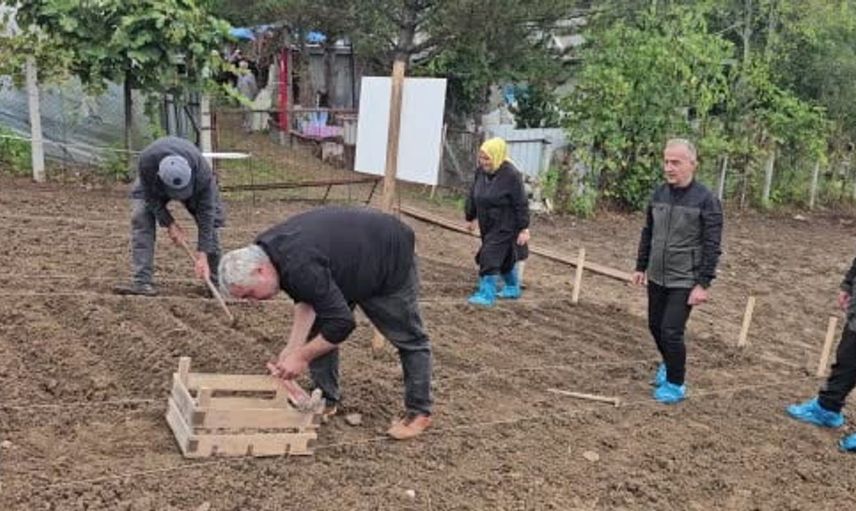 Zonguldak'ta salep üretimi ile orman köylülerine yeni bir gelir kapısı açılıyor