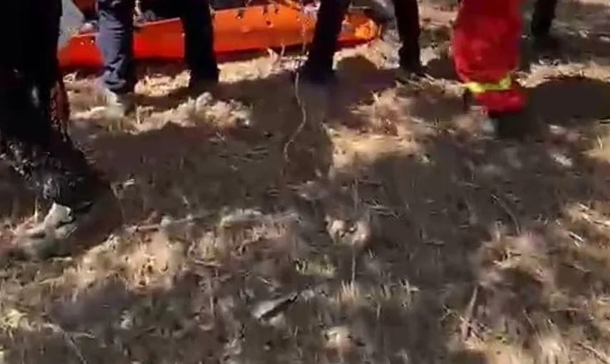 Epilepsi hastası kayboldu, 36 saat sonra zeytinlikte bulundu