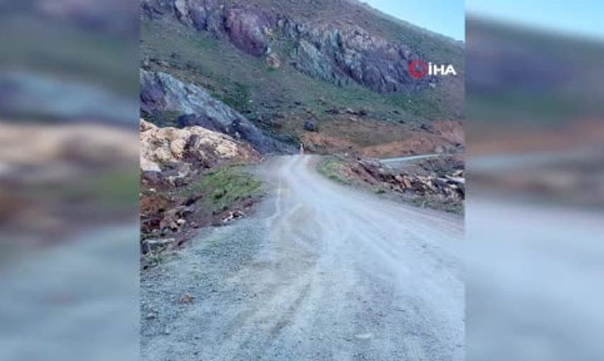 Yüksekova’nın zirvelerinde atlı doğa keşfi: Cilo ve Sat dağlarının güzellikleri ile tanıştılar