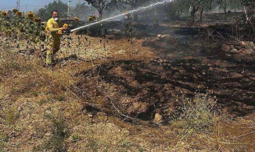 Bilecik'te yangın paniği: Buğday tarlası kısa sürede kontrol altına alındı