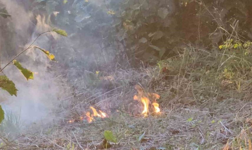 Zonguldak'taki fındık bahçesindeki yangına vatandaşlar ayaklarıyla müdahale etti