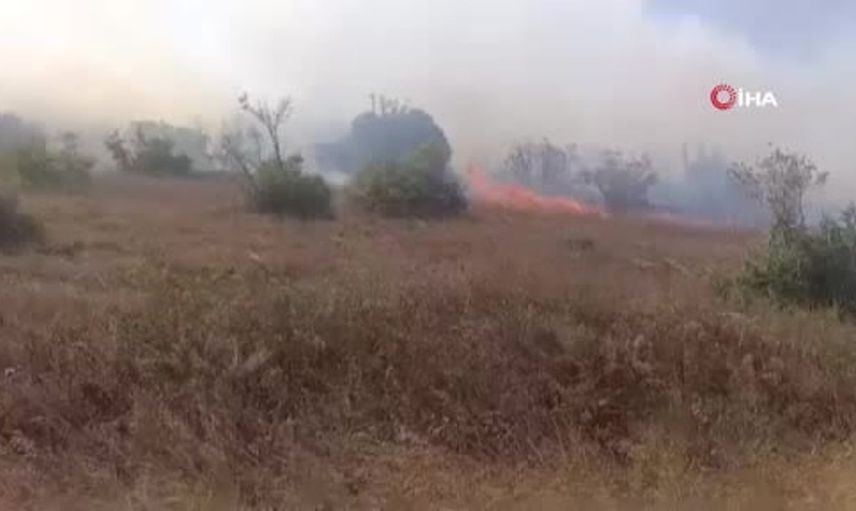 Karacabey'de makilik alanda yangın paniği: Ekipler seferber oldu