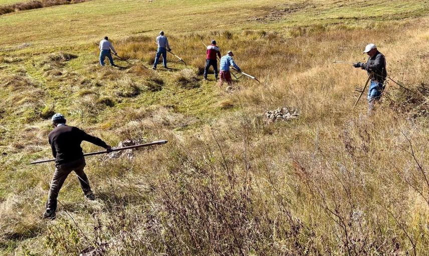 Ardahan'da sonbahar geleneği: Tırpanlar son kez sallandı