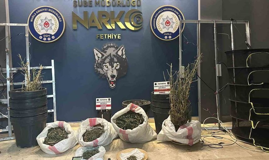 Muğla'da uyuşturucu operasyonunda bir tutuklama gerçekleşti