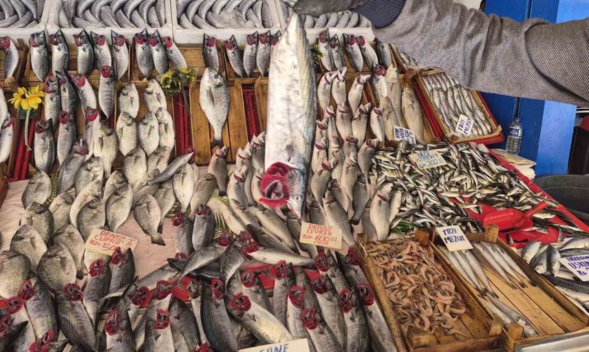 Eskişehir'de bu sezon palamut, hamsiyi geride bıraktı