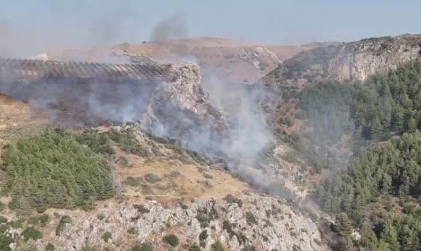 Hatay'da yerleşim alanına yakın orman yangınına müdahale devam ediyor