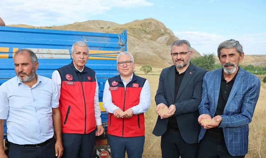 Sivas’ta hasat sezonu coşkuyla devam ediyor